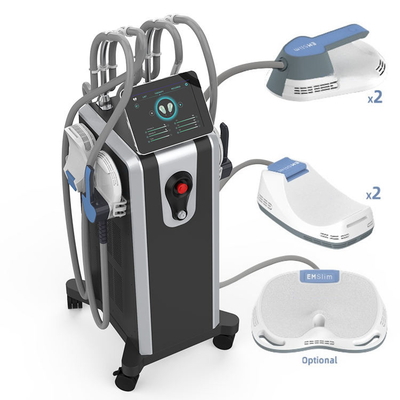 AC110V-220V EMS Machine with 1-100Hz Output Frequency Free Spare Parts Support