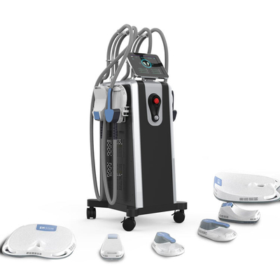 US Plug EMS Machine for Weight Loss with AC110V-220V Input Voltage and 2 Years Warranty